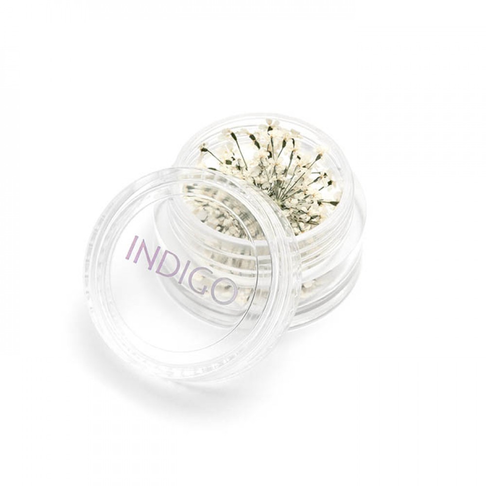 INDIGO SAUSIE ZIEDI BALTIE