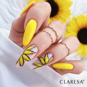 CLARESA SUMMER STORIES 4 - 5 G