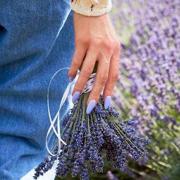 1388 DREAM OF PROVENCE GEL POLISH 7ML
