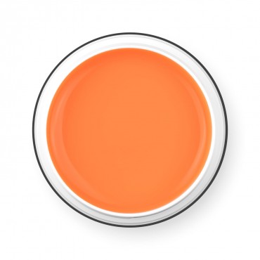 PALU PRO LIGHT BUILDER GEL PEACHY - 45 G